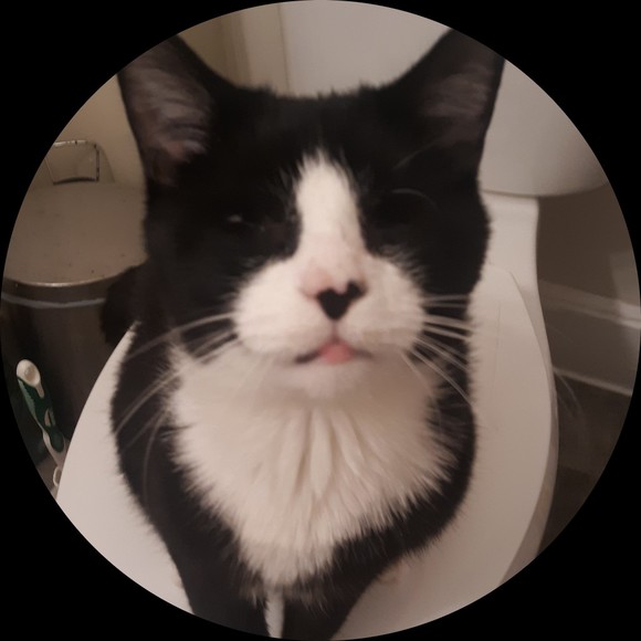 Meet your Posher, Matthew - Picture 1 of 1